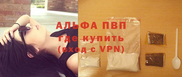 PSILOCYBIN Верея