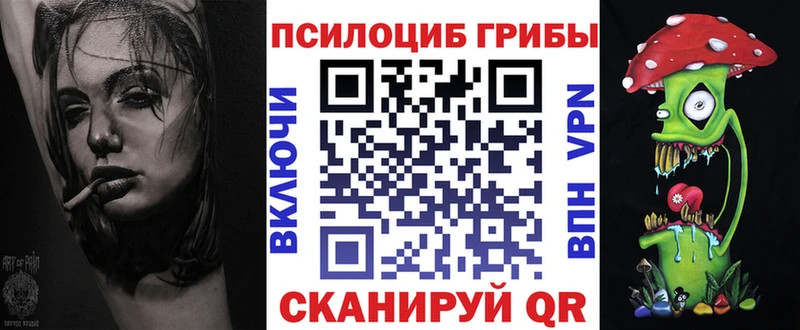 Галлюциногенные грибы GOLDEN TEACHER  где купить наркоту  Ельня 